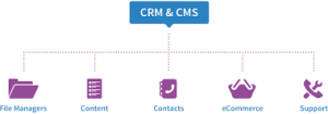 CRM and CMS Solution